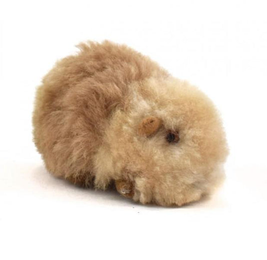 SMALL ALPACA GUINEA PIG